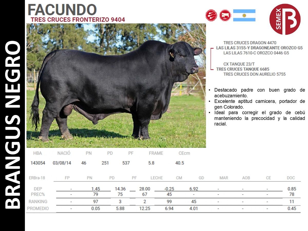Facundo.jpg?1570208584760