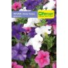 Semilla de Petunia Híbrida Mezcla -  Plantas Ornamentales
