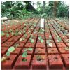 Medio de Propagación Vegetal Ultrafoam -  Bandejas Germinadoras y tubetes
