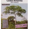 semilla de Ceiba Amarilla -  Semillas de Arboles