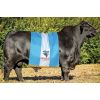 Brangus Negro Francesco -  Genética Bovina Línea Carne