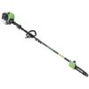 Podadora de Altura de Gasolina F-52A -  Herramientas para Jardín