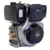 Motor Diésel 10HP - Arranque Manual Eje Mixto 1" en  Agrofertas®