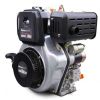 Motor Diésel 14HP - Arranque Eléctrico Eje Mixto 1" en  Agrofertas®