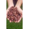 Nibs de Cacao en  Agrofertas®
