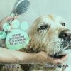 Servicio de Peluquería Canina y Felina -  Peluquería canina