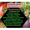 Nutriortiga -  Bioestimulantes y Enraizantes