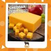 Queso Cheddar de bufala -  Agrofertas SAS ®