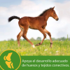 GROW COLT -  Alimento y Snacks para Caballos