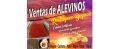Alevinaje Rodriguez Boyacá