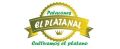 Patacones el platanal