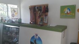 Guardería -  Guardería para mascotas