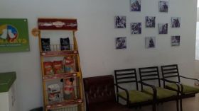 Peluquería para perros -  Peluquería canina
