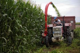 Cosechadora de Maiz MSX 10 SL en  Agrofertas®