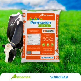 Permaxion 31-8-8 - Fetilizante completo -  Abonos y Fertilizantes