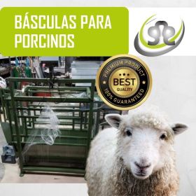 Báscula para Ovinos -  Básculas y Balanzas