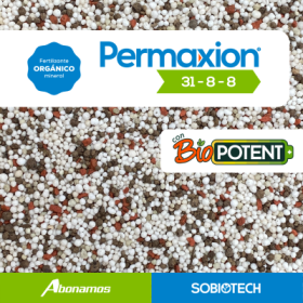 Permaxion 31-8-8 - Fetilizante completo -  Abonos y Fertilizantes