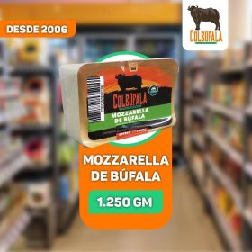 Queso Mozzarella de Búfala Semigraso-Semiduro de bufala -  Agrofertas SAS ®