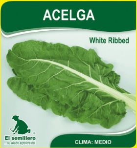 Semillas de Acelga White Ribbed -  Semillas de hortalizas