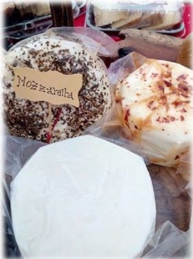 Mozarella de Búfala de bufala -  Agrofertas SAS ®