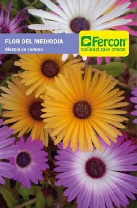 Flor del Medio día en  Agrofertas®