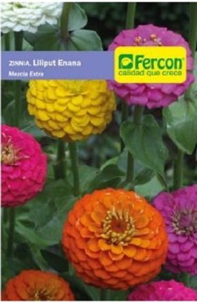 Zinnia Iliput Enana en  Agrofertas®