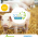 SobioTMO - Acelerador de compostaje -  Enmiendas Agrícolas
