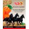 Snack Zanahoria -  Alimento y Snacks para Caballos