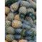 Piña -  Productos agrícolas